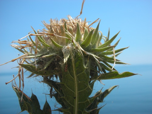 Крымское чудо или таинственные знаки