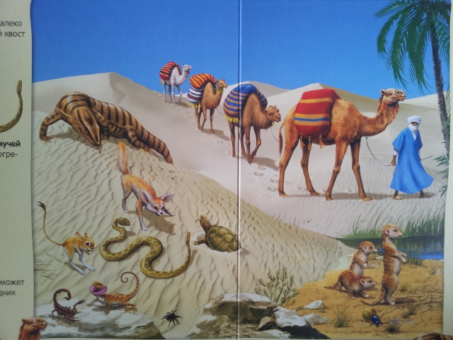 100 волшебных звуков или