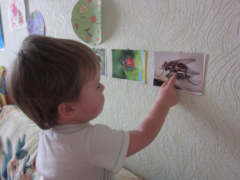 ТН НАСЕКОМЫЕ День 5