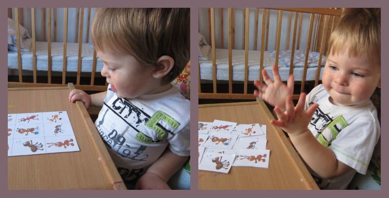 ТН НАСЕКОМЫЕ День 3