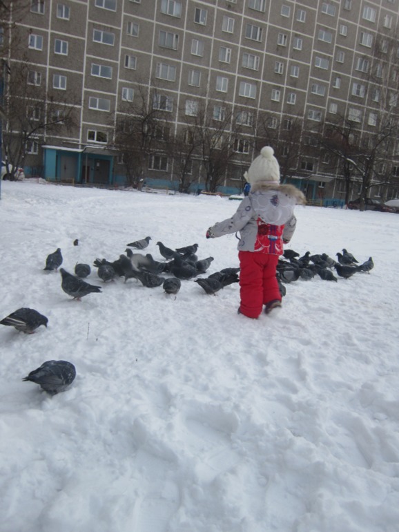 ТН Встречавем зиму. День второй. Зимующие птицы