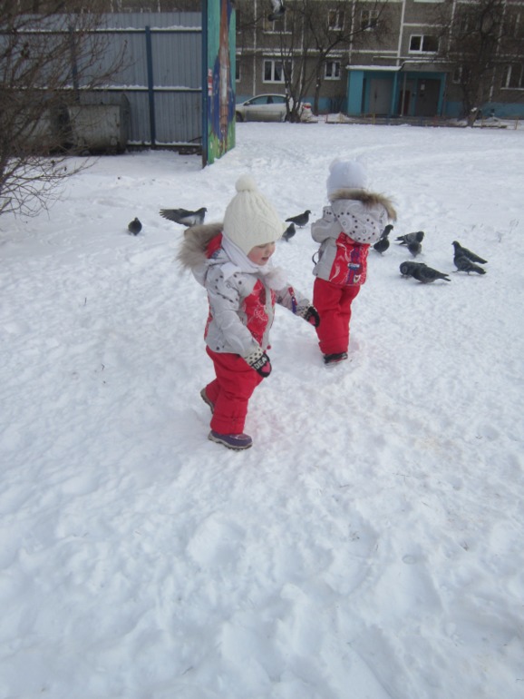 ТН Встречавем зиму. День второй. Зимующие птицы