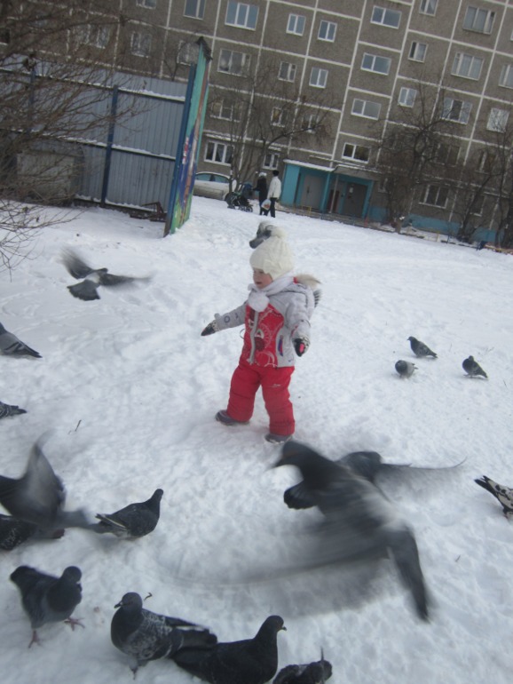 ТН Встречавем зиму. День второй. Зимующие птицы