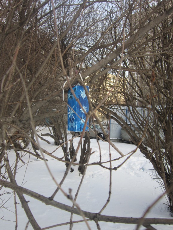 ТН Встречавем зиму. День второй. Зимующие птицы