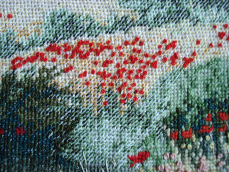 А вот и мое маковое поле)