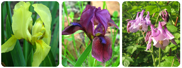 74/15-1-2 + 16 или