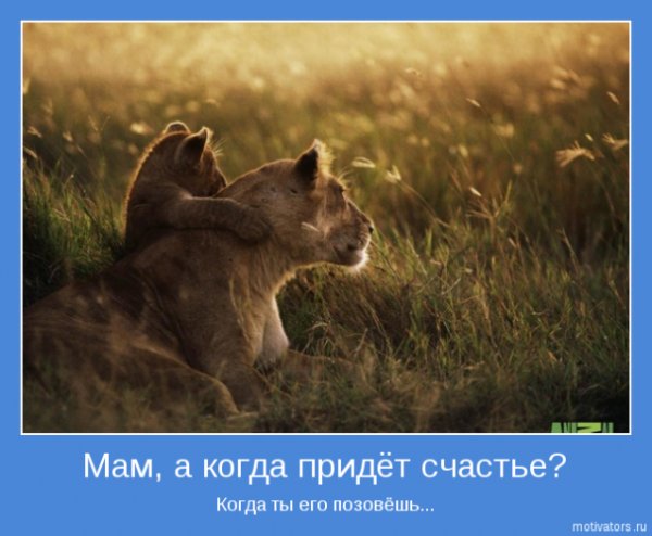 Взлет 74 день 13