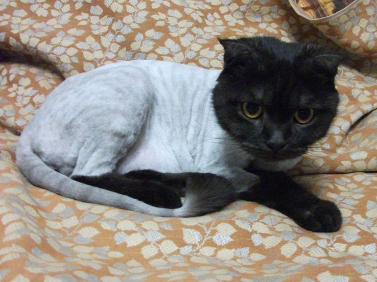 Вот и пришло наше время укладываться в роддом!!!