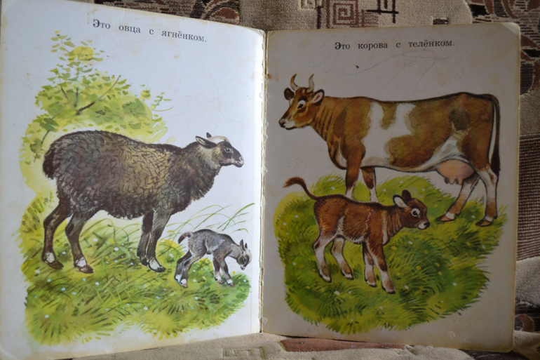 Наш букинистический клад)