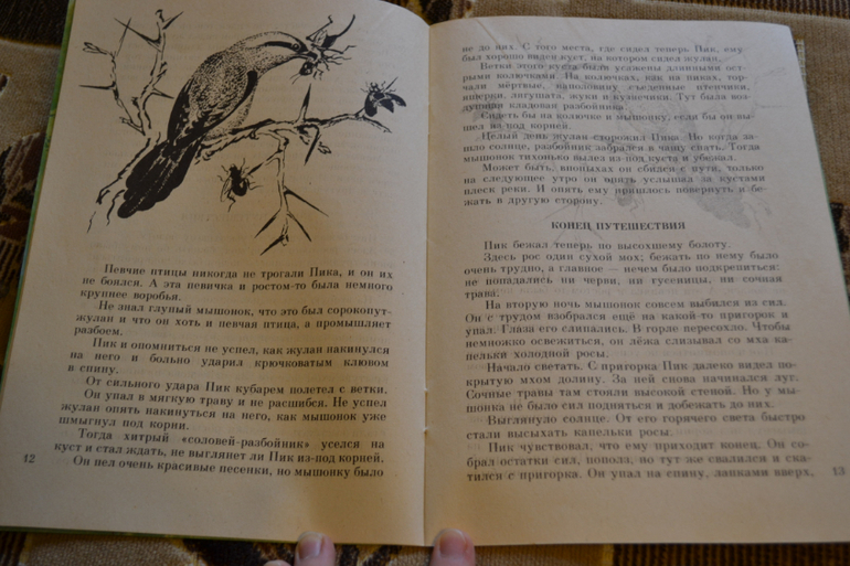 Художники из детства)