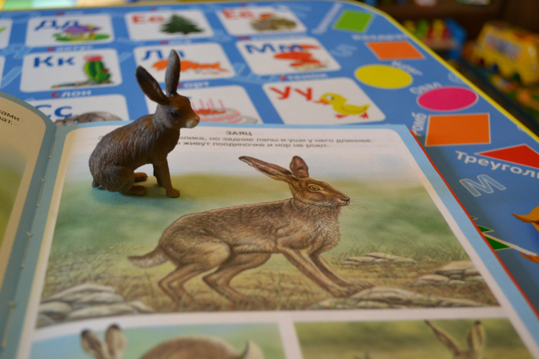 Наши животные