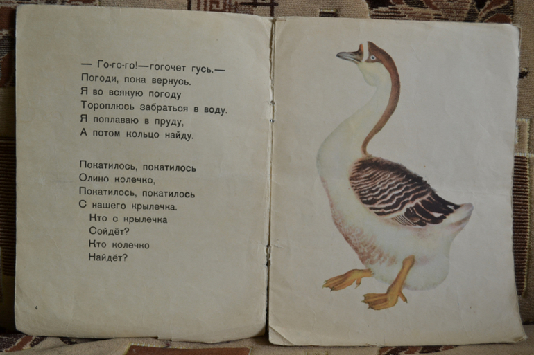 Наш букинистический клад)