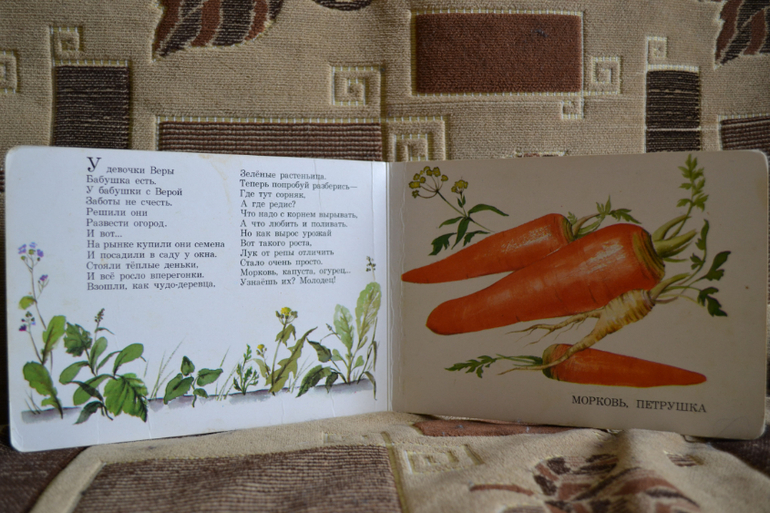 Наш букинистический клад)