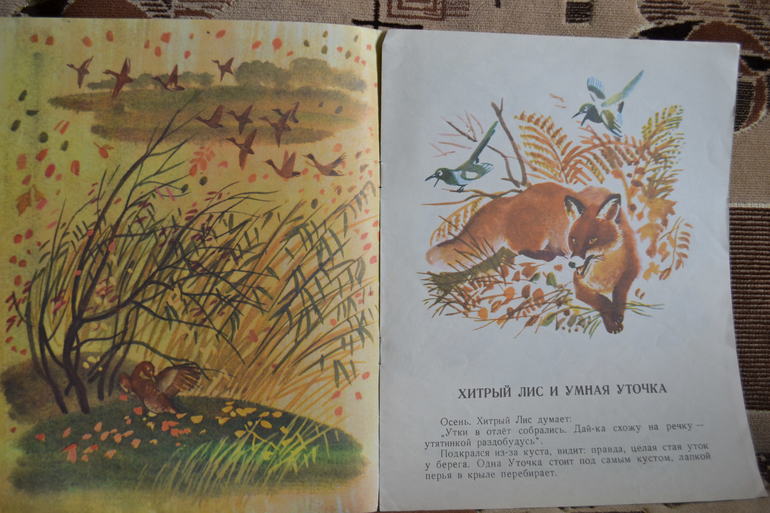 Наш букинистический клад)