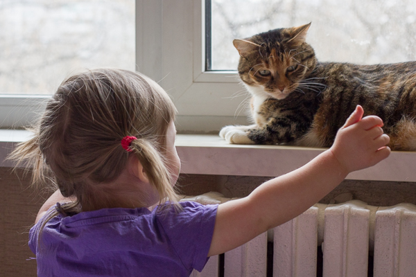 Что такое хорошо... Блок 2. Честность/ложь и забота/хулиганство