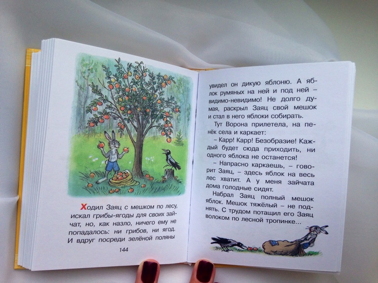 Что сейчас читаем: