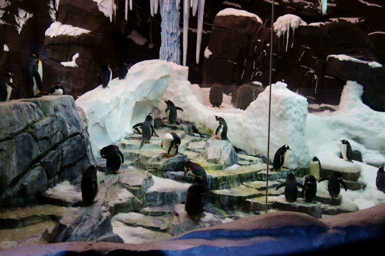 Наше первое путешествие в США