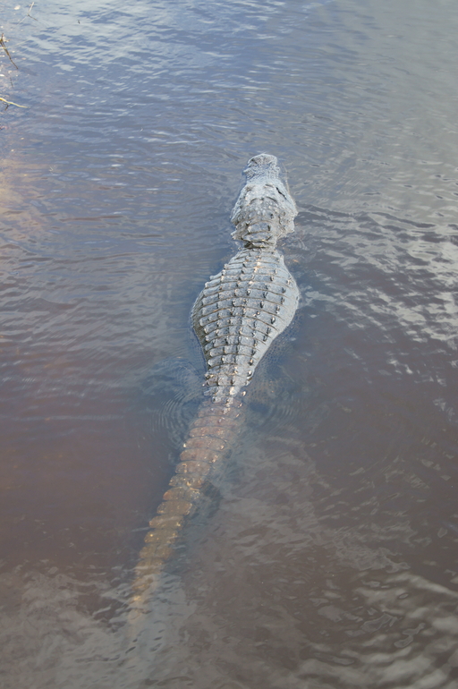 Наше первое путешествие в США