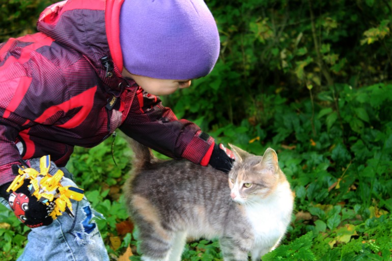 Ловили краски осени:)