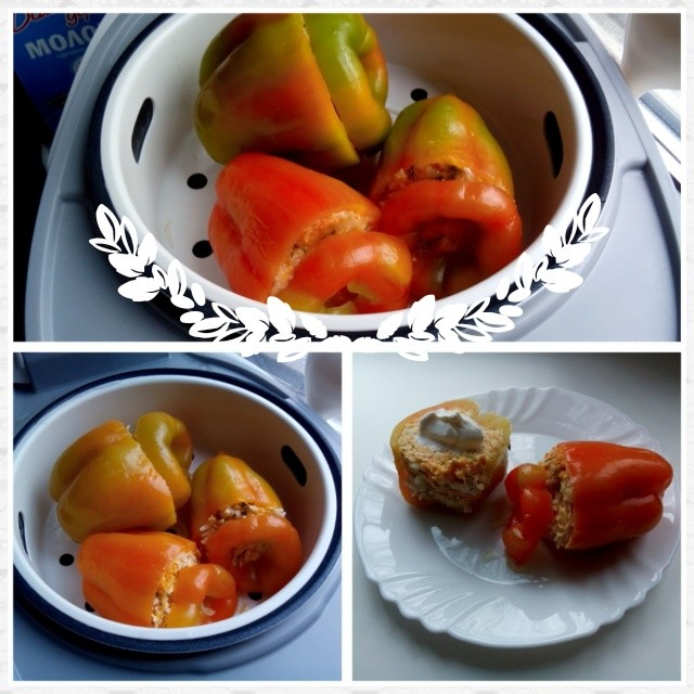 Обзор по мультиварке  Zigmund And Shtain, модель MC-D31 G.