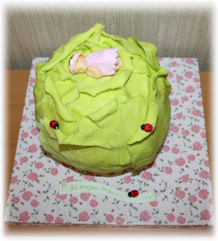 Младенец и капуста.