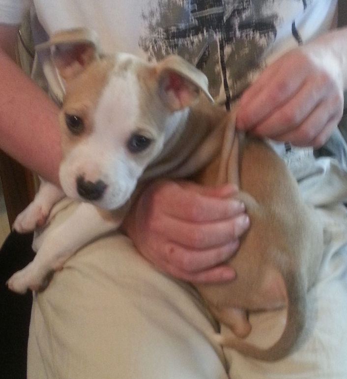 Наша Адочка