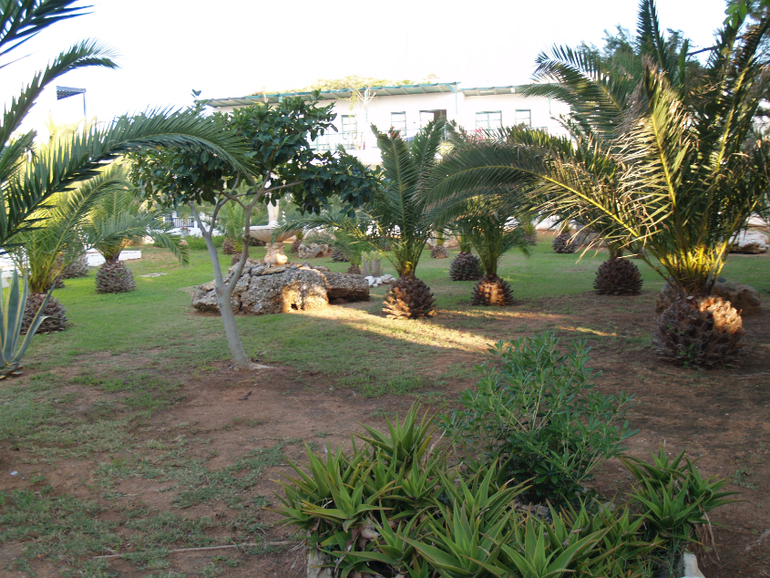 Отдых на о.Крит отель Stella Village 4*