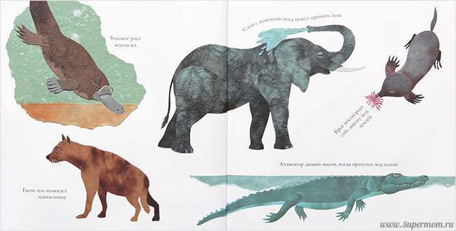 Наше энциклопедическое, книжное