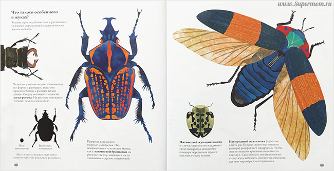 Наше энциклопедическое, книжное