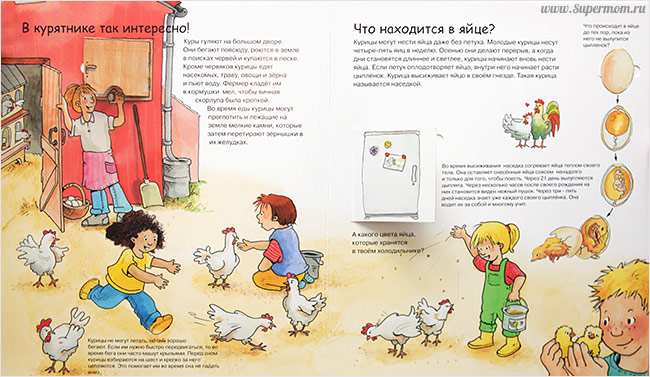 Наше энциклопедическое, книжное