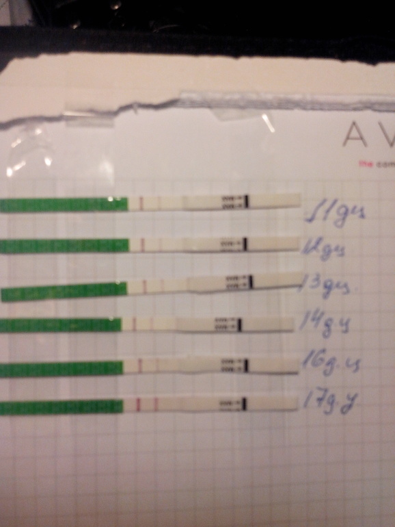 Девчулечки-Роднулички!!!это онаааа??