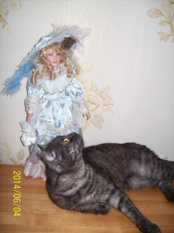 Любитель прекрасного