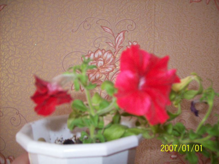 Скоро весна.