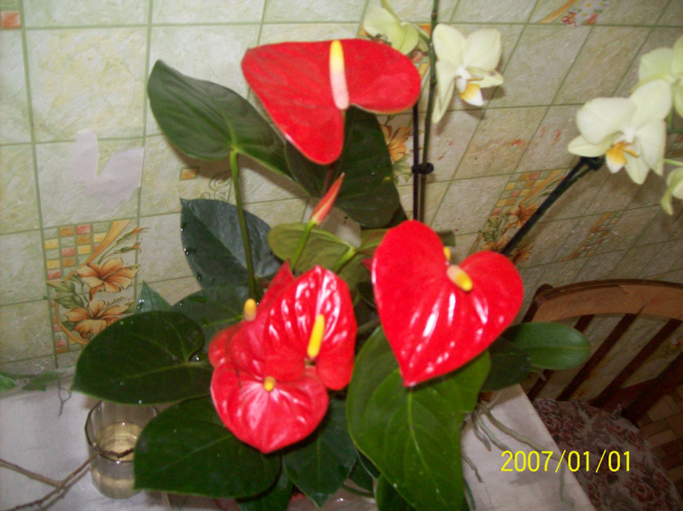 Скоро весна.