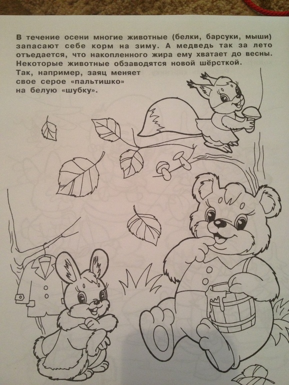 9c81dea72d58204d4ec9b66dffce805d.jpg