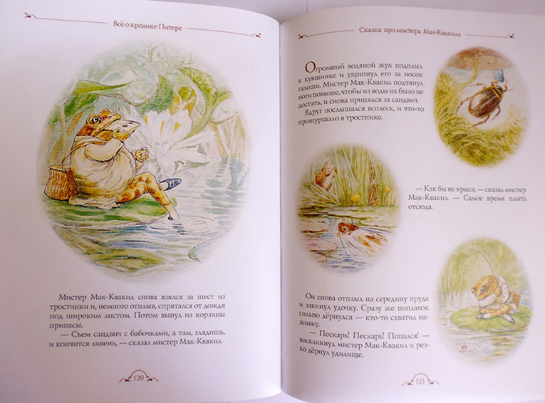 Все о кролике Питере и другие наши зайцы-иностранцы