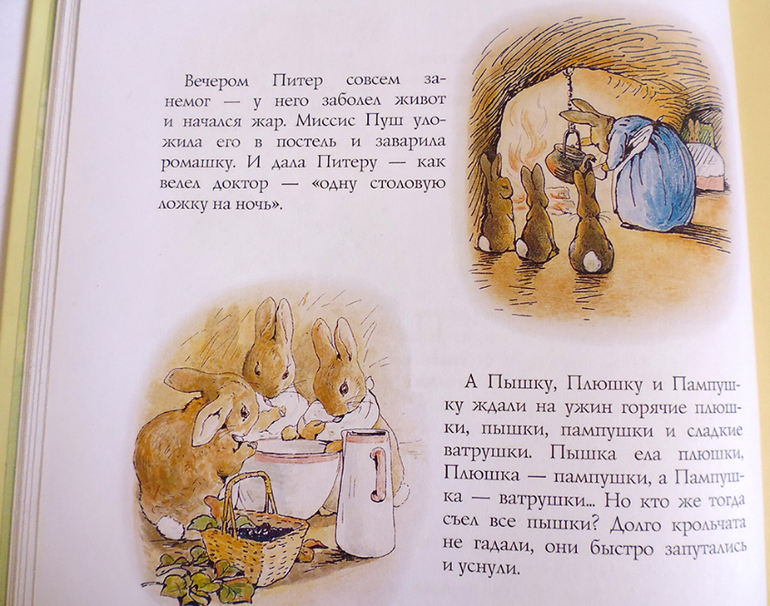 Все о кролике Питере и другие наши зайцы-иностранцы