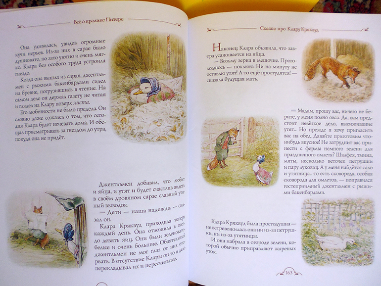 Все о кролике Питере и другие наши зайцы-иностранцы