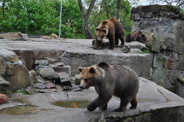Калининградский Зоопарк