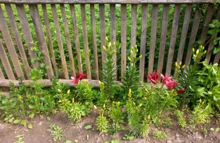 Реставрация Часть 1 много фото!