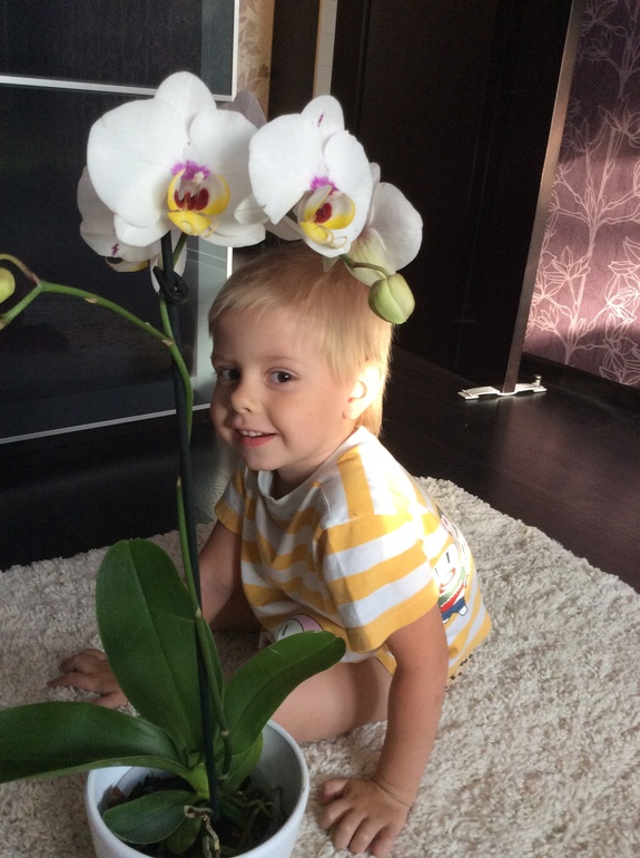 Мои питомцы