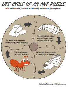 Тематическая неделька о насекомых и прочей мелюзге))