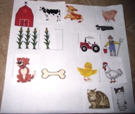 Закрепляем знания по темам