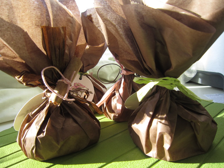 Гейзеры для ванны))