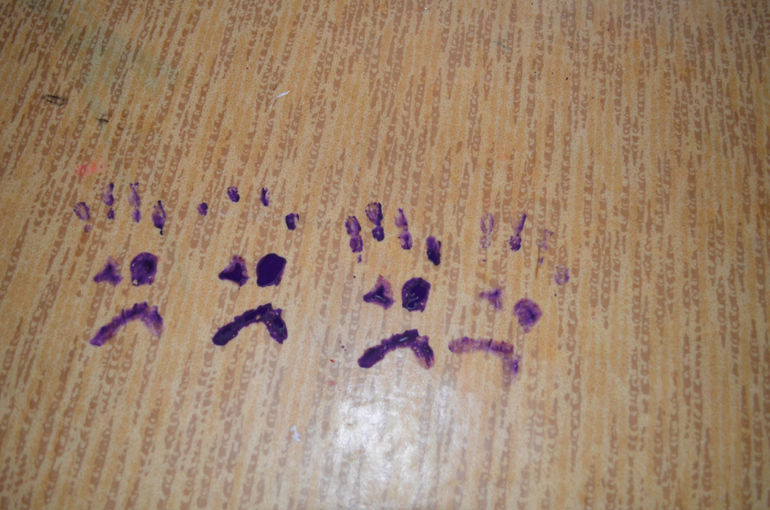 Вот и мы порисовали...