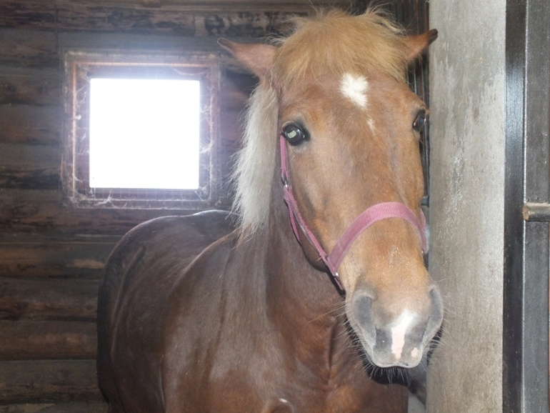 Прогулки с динозаврами) очень много фото