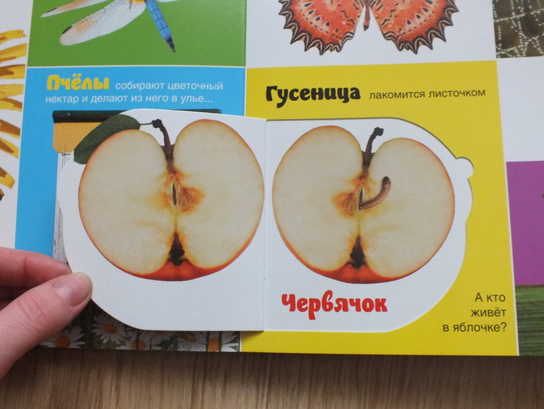 Пополнение библиотеки. Часть 4. Познавательная