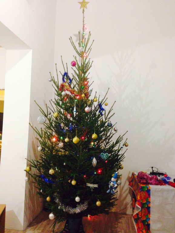 Наша ёдочка)