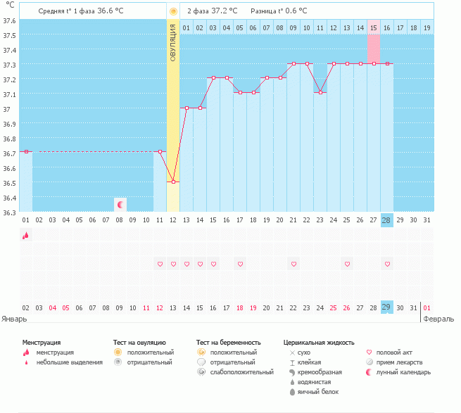 Мой график БТ , или я трусишка - зайка серенький:)