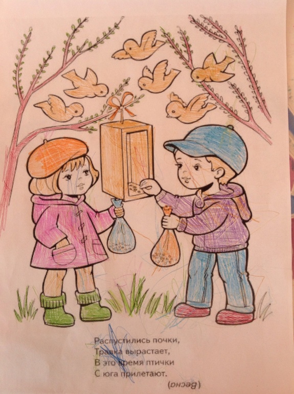 ТН Весна. День 4. Птицы!